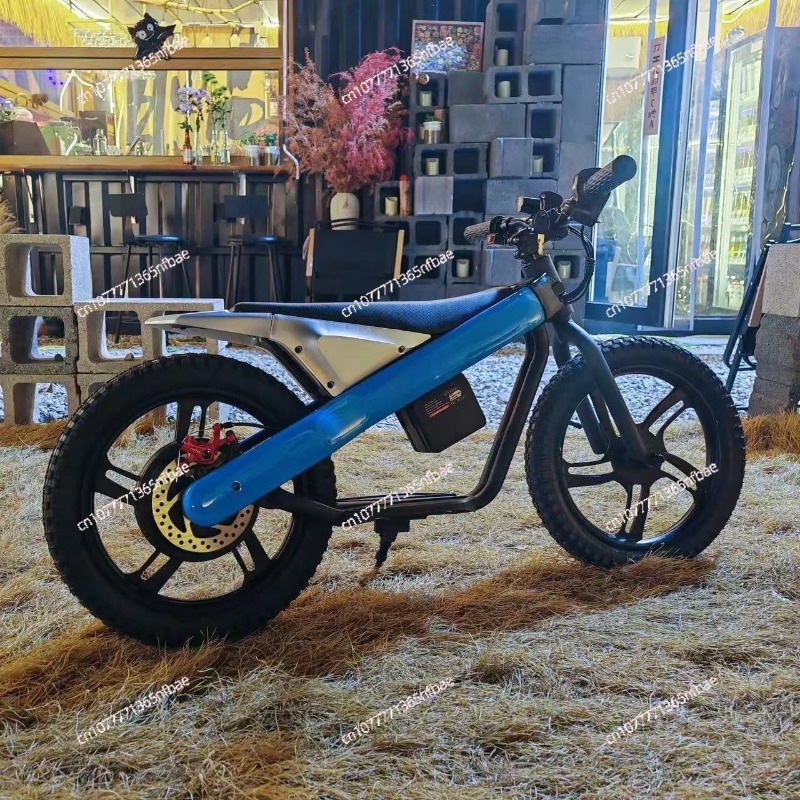 16 Inch Kids Electric Balance  - Kids Electric Scooter recension och pris